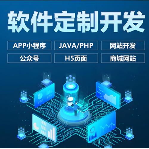 软件定制软件开发小程序开发商城app定制开发电脑管理系统物联网